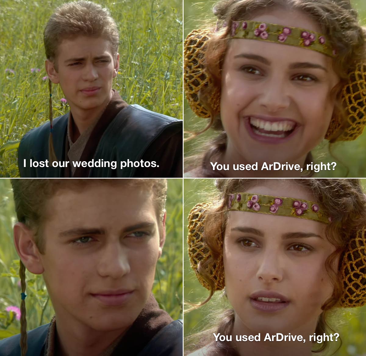 ArDrive Meme